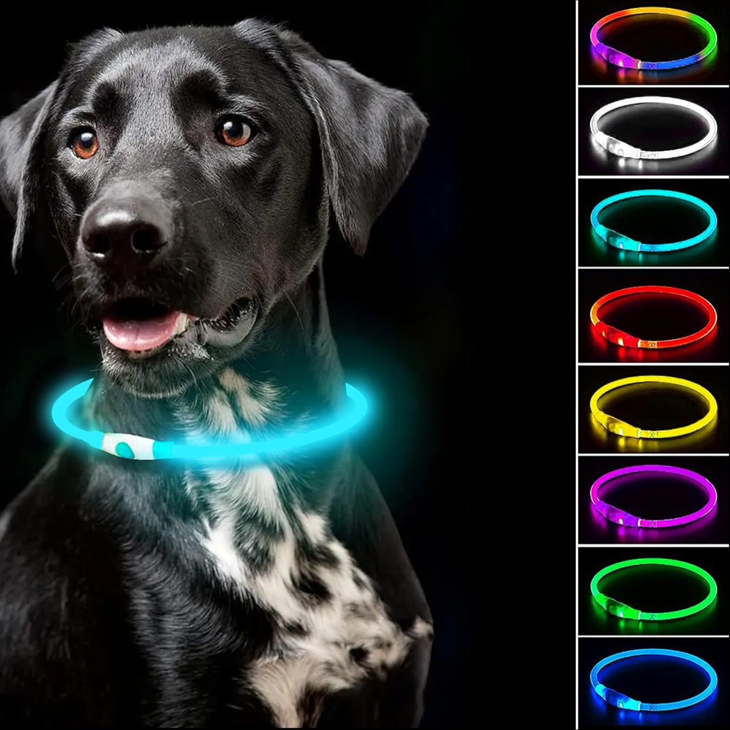 Mulicolored LED Dog Collar - 7 Colors in One Collar with ...