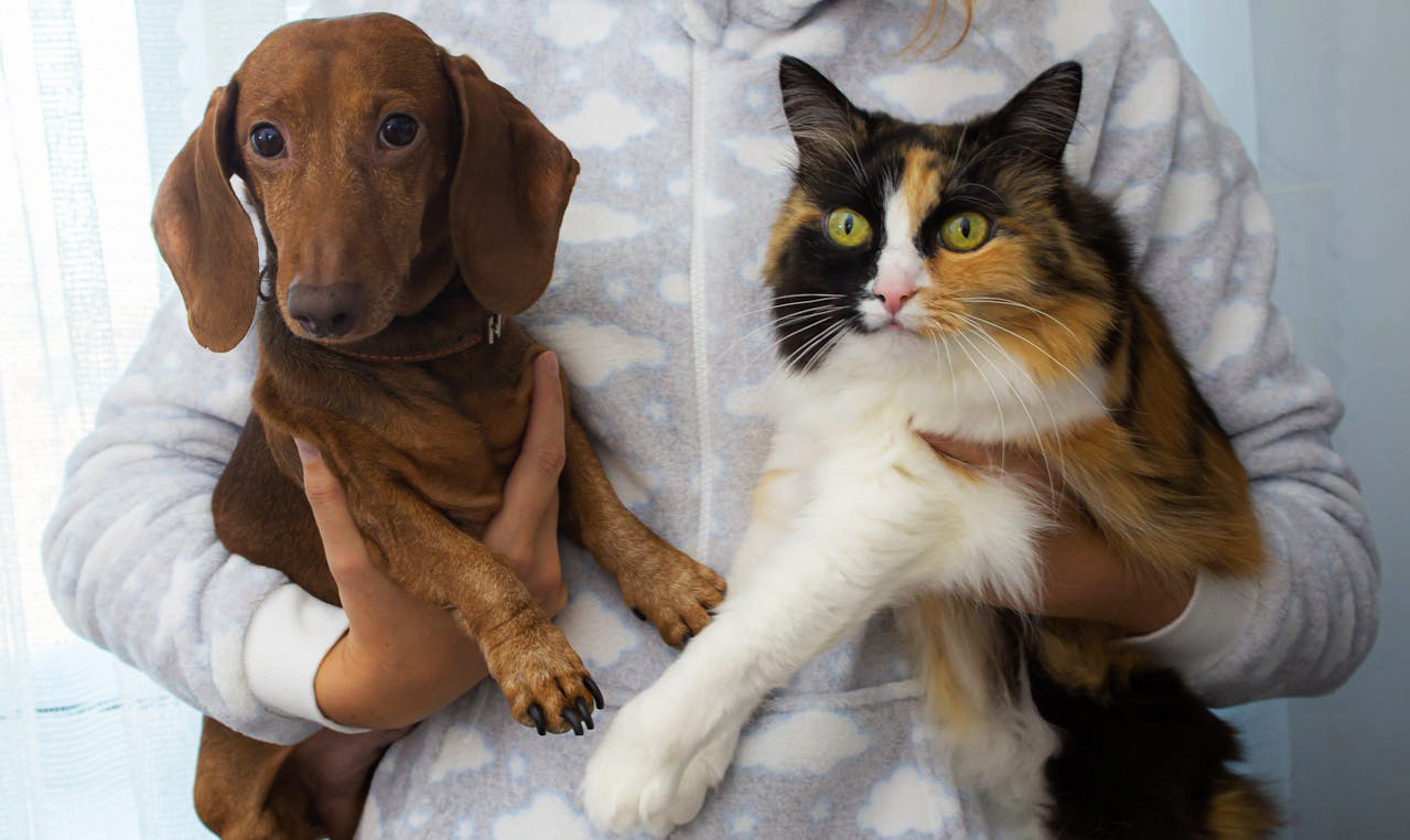 person holding a cat on one arm while holding a dog on the other.