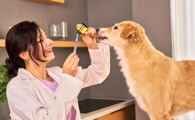 Must Have Vaccines for Dogs: Don’t Skip These Shots